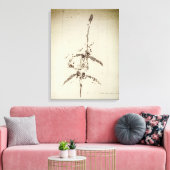 Toile Plesiosaurus dolichodeirus (Insitu(Salon))