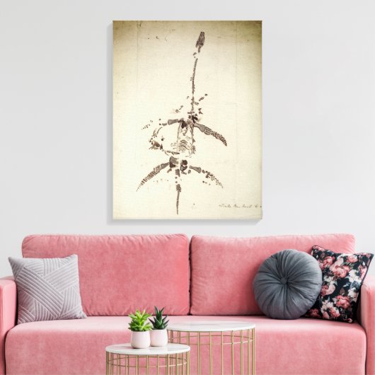 Toile Plesiosaurus dolichodeirus (Insitu(Salon))