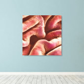 Toile Pliages de l'épithélium de la vessie humaine (Insitu (Plancher de Bois))