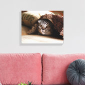 Toile Plier de chat écossais Brown dans une couverture b (Insitu(Salon))