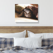 Toile Plier de chat écossais Brown dans une couverture b (Insitu(Chambre))