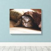 Toile Plier de chat écossais Brown dans une couverture b (Insitu (Plancher de Bois))
