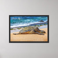 Plongée en apnée à Hanauma Bay, O'ahu