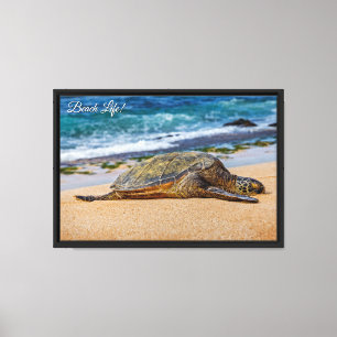 Toile Plongée en apnée à Hanauma Bay, O'ahu