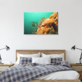 Toile plongeur & Scorpionfish Scorpanopsis (Insitu(Chambre))