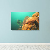 Toile plongeur & Scorpionfish Scorpanopsis (Insitu (Plancher de Bois))