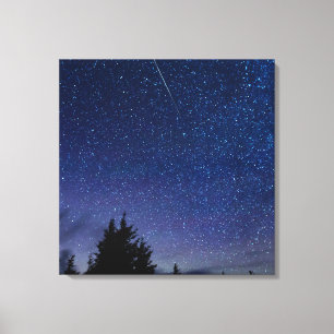Toile Pluie d'étoiles filantes des Perséides