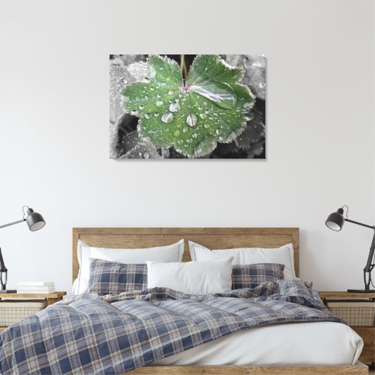 Toile pluie lourde (Insitu(Chambre))