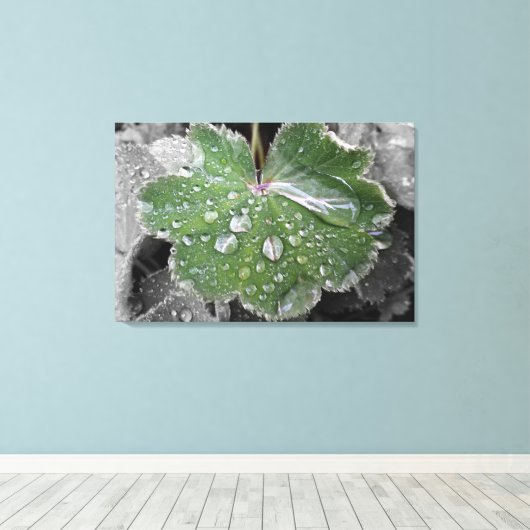 Toile pluie lourde (Insitu (Plancher de Bois))