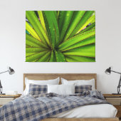 Toile Pluie matinale sur le pin à vis (Insitu(Chambre))