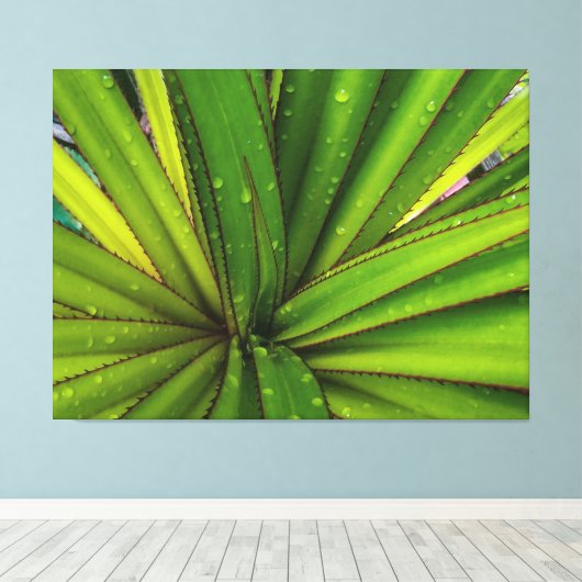 Toile Pluie matinale sur le pin à vis (Insitu (Plancher de Bois))