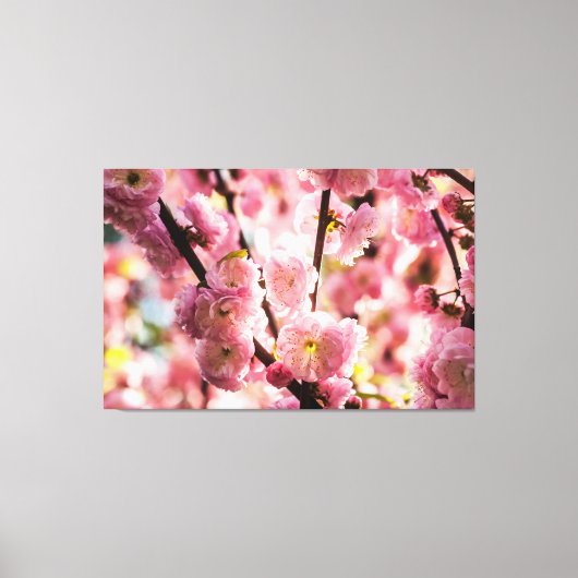 Toile Plum à fleurs - Paradize rose (Recto)