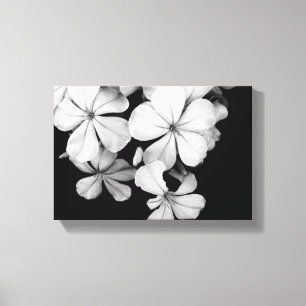 Toile Plumbago noir et blanc