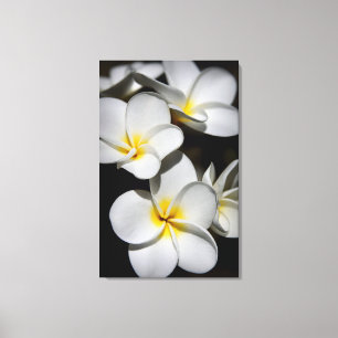 Toile Plumeria