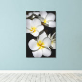 Toile Plumeria (Insitu (Plancher de Bois))