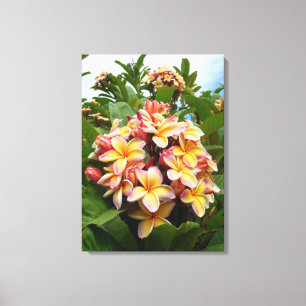 Toile Plumeria hawaïen