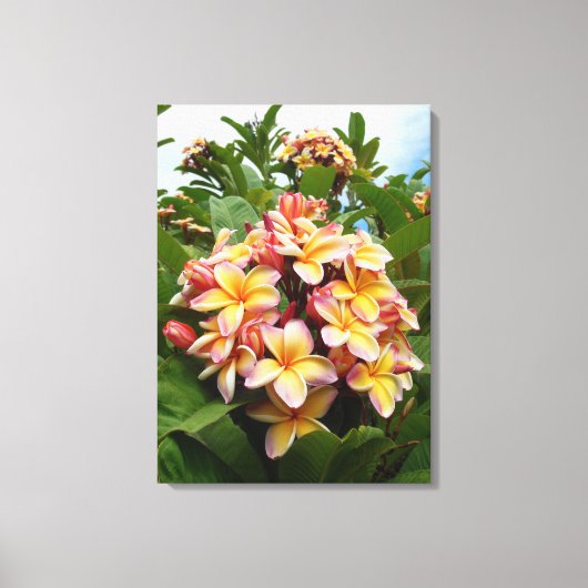 Toile Plumeria hawaïenne (Recto)