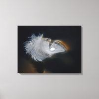Plumes blanches avec goutte de pluie