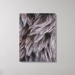 Toile Plumes d'autruche