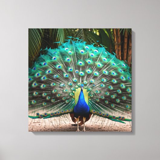 Toile Plumes de paon (Recto)