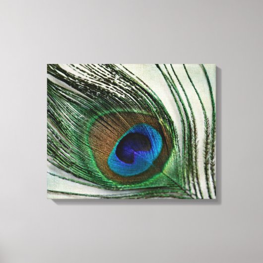 Toile Plumes de paquetage vintage (Recto)