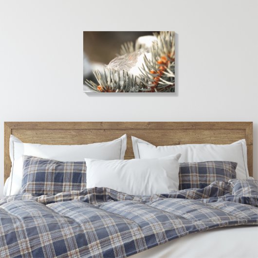 Toile Plumes Grises En Branche À feuillage persistant Ne (Insitu(Chambre))