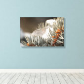 Toile Plumes Grises En Branche À feuillage persistant Ne (Insitu (Plancher de Bois))