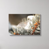 Toile Plumes Grises En Branche À feuillage persistant Ne (Recto)