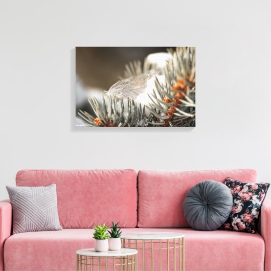 Toile Plumes Grises En Branche À feuillage persistant Ne (Insitu(Salon))