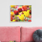 Toile Plusieurs tulipes colorées (Insitu(Salon))