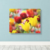 Toile Plusieurs tulipes colorées (Insitu (Plancher de Bois))