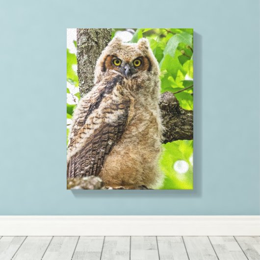 Toile Poche (Insitu (Plancher de Bois))