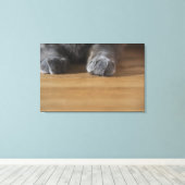 Toile Poches de chat (Insitu (Plancher de Bois))