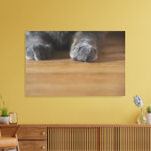 Toile Poches de chat (Insitu(Salon))