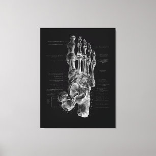 Toile Podiatriste de l'anatomie du pied Poster Médicale