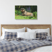 Toile Poil à fil standard Dachshund assis (Insitu(Chambre))