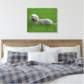 Toile Poil à fil standard Dachshund en herbe (Insitu(Chambre))