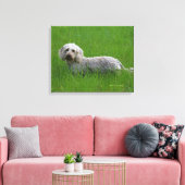 Toile Poil à fil standard Dachshund en herbe (Insitu(Salon))