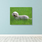 Toile Poil à fil standard Dachshund en herbe (Insitu (Plancher de Bois))