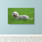 Toile Poil à fil standard Dachshund en herbe (Insitu (Plancher de Bois))