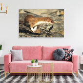 Toile Poil de musculation (Insitu(Salon))