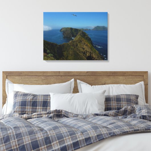 Toile Point d'inspiration I d'Anacapa aux îles Anglo-Nor (Insitu(Chambre))