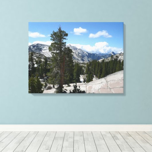 Toile Point III d'Olmsted dans le parc national Yosemite (Insitu (Plancher de Bois))