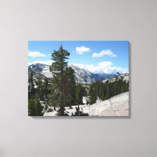 Toile Point III d'Olmsted dans le parc national Yosemite