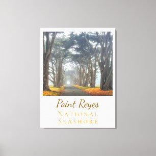 Toile Point Reyes