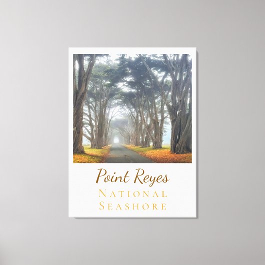 Toile Point Reyes (Recto)