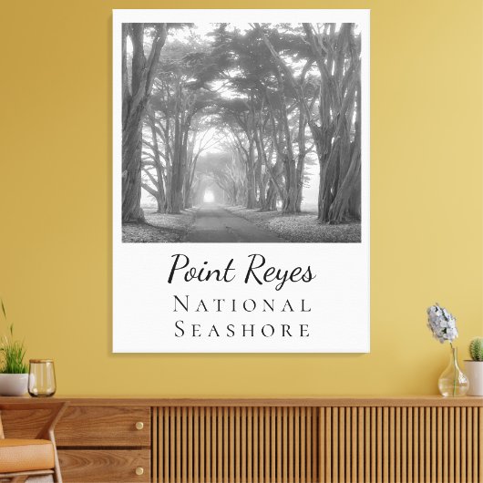 Toile Point Reyes (Insitu(Salon))