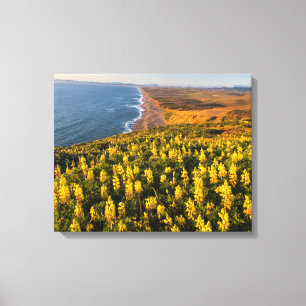 Toile Point Reyes National Seashore Californie
