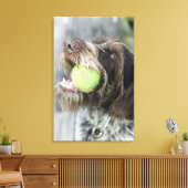 Toile Pointer chien mordant balle de tennis, gros plan (Insitu(Salon))