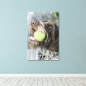 Toile Pointer chien mordant balle de tennis, gros plan (Insitu (Plancher de Bois))